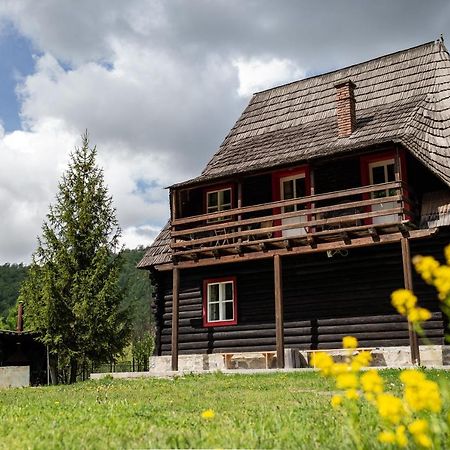 Cabana Iubu Valea Drăganului Zewnętrze zdjęcie